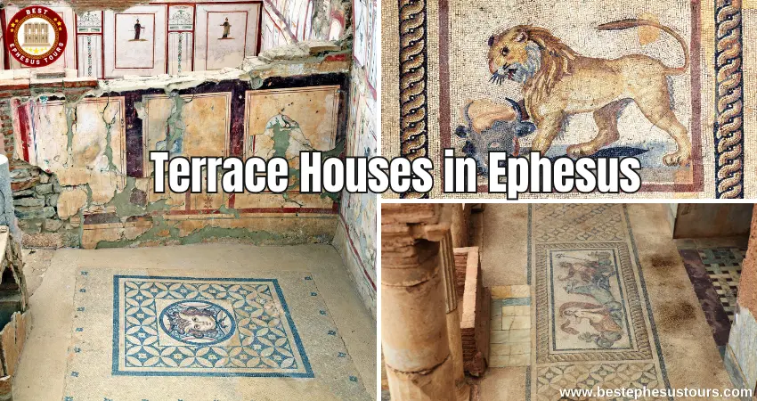 Terrace Houses in Ephesus